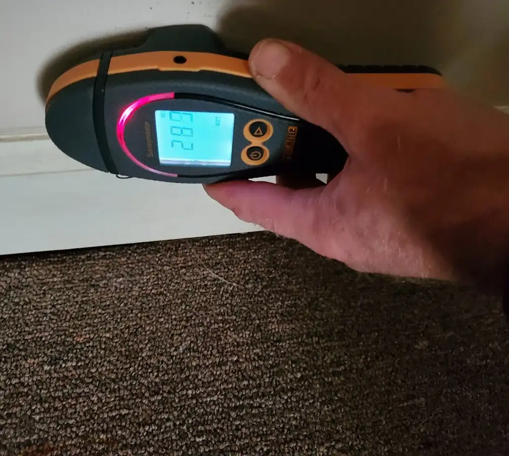 Moisture detection at baseboard during Sewage Cleanup & Sanitation in Union City